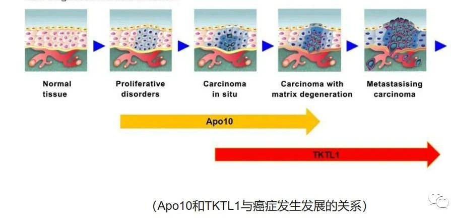 &#67;&#81;&#57;&#30005;&#23376;&#40;&#20013;&#22269;&#41;&#20114;&#21160;&#30334;&#31185;